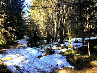 Retour à la Perdrix (Crêt de la Perdrix)