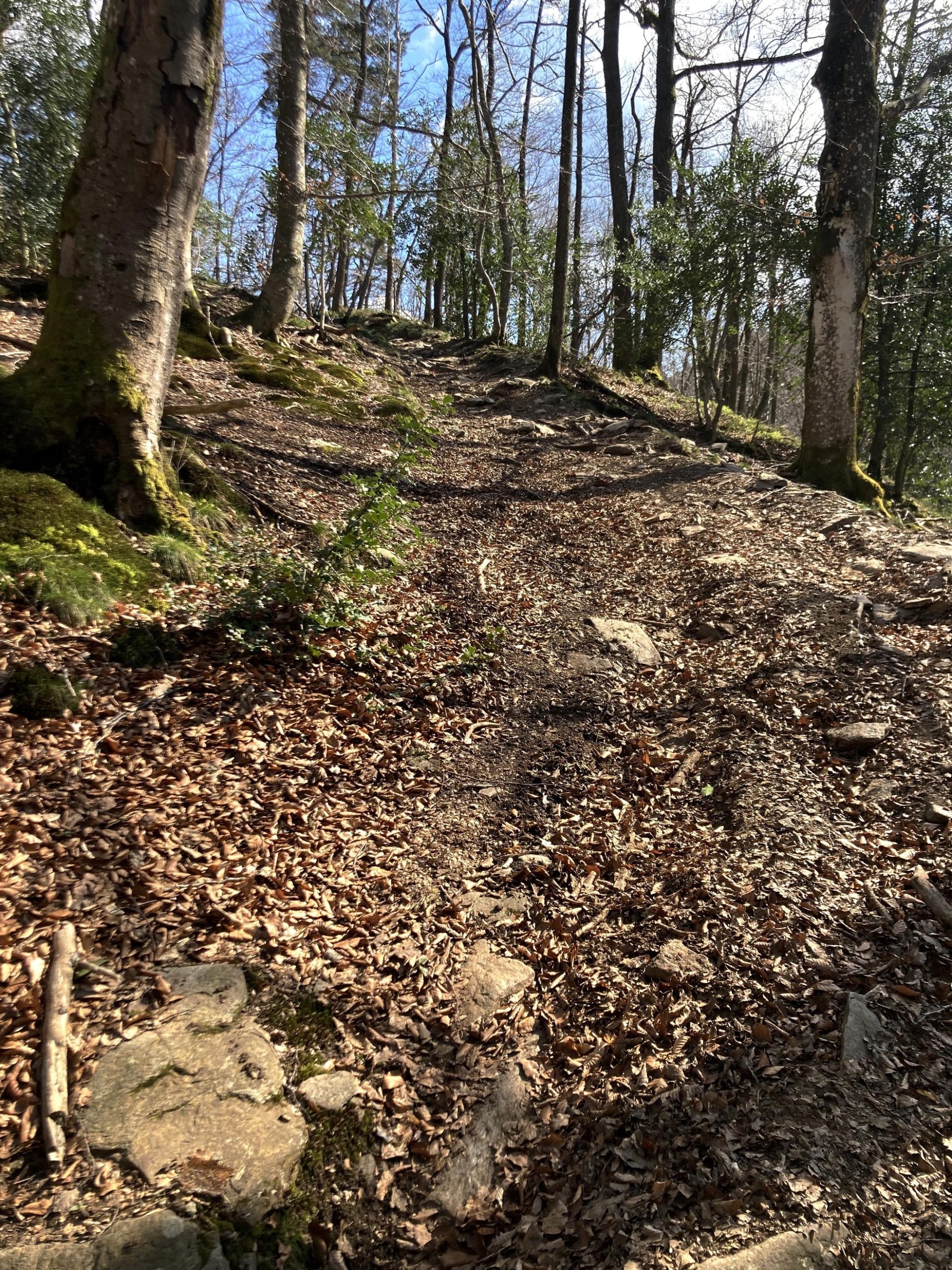 PIste de sortie du vallon
