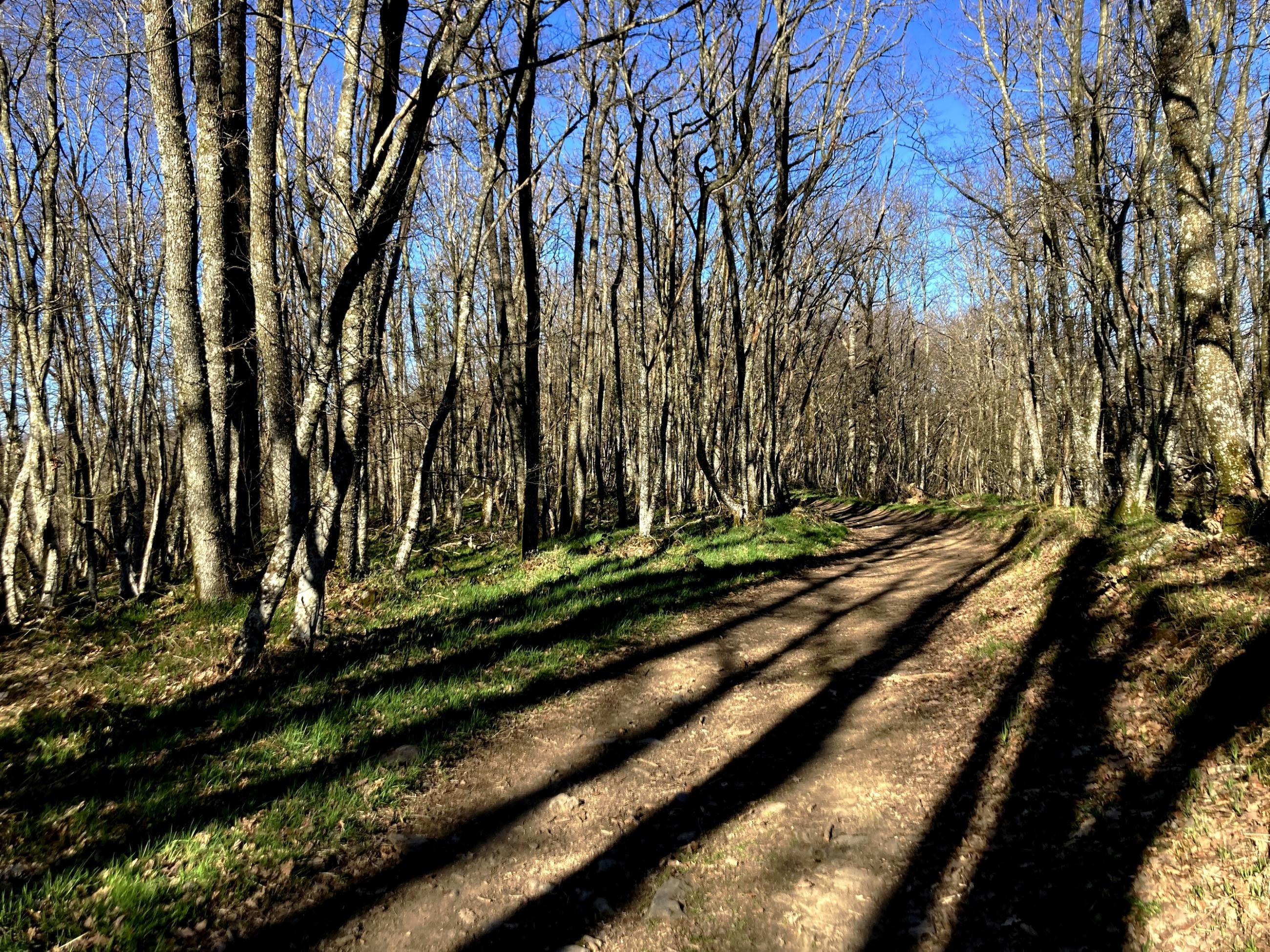 Piste vers le petit Châtelard