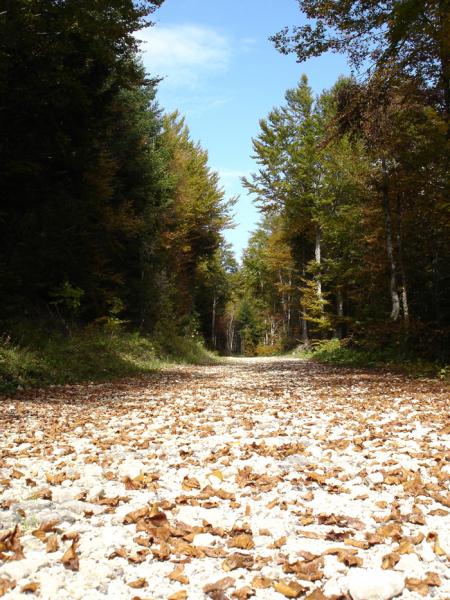 piste du Mollard