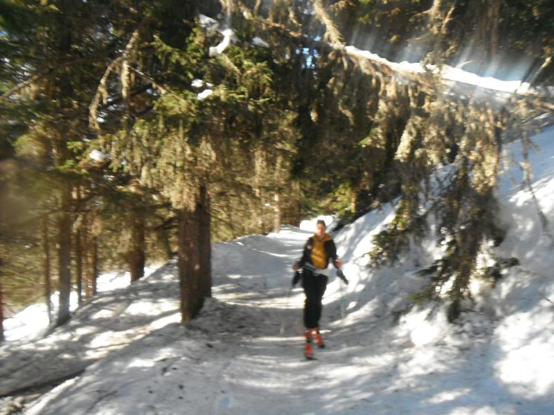piste forestière du couteray