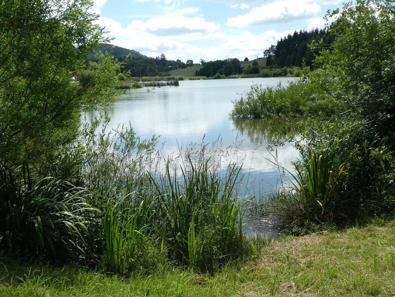 Plan d'eau de Ronzey