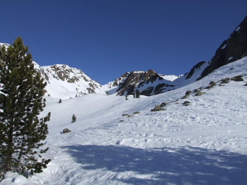 plateau de cerise