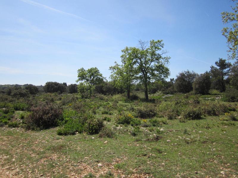 plateau sommital