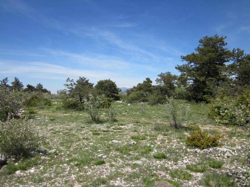 plateau sommital du Cluyer