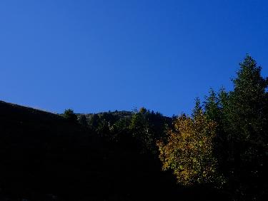 Plongeon sur Perquelin