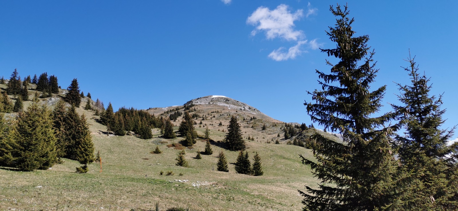 Plus de neige