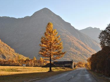 Pointe des Fours en AR