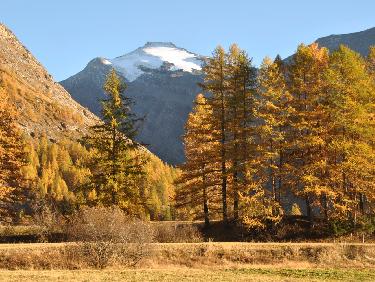 Pointe des Fours en AR