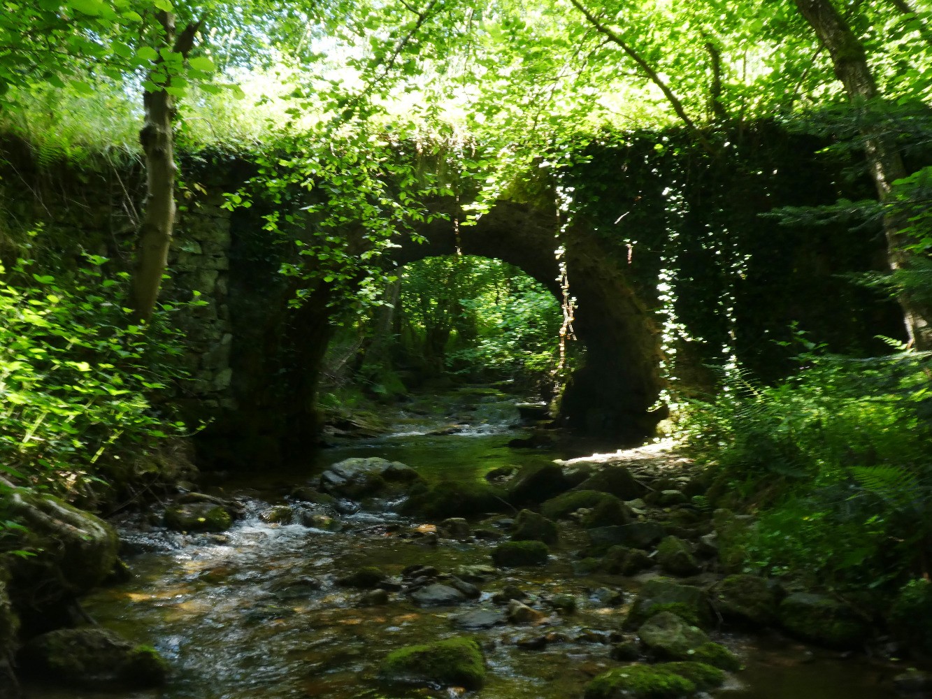 Pont sur le Ban (alt. 590)