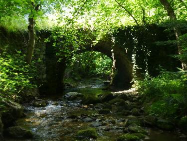 Pont sur le Ban (alt. 590)