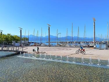 Port 