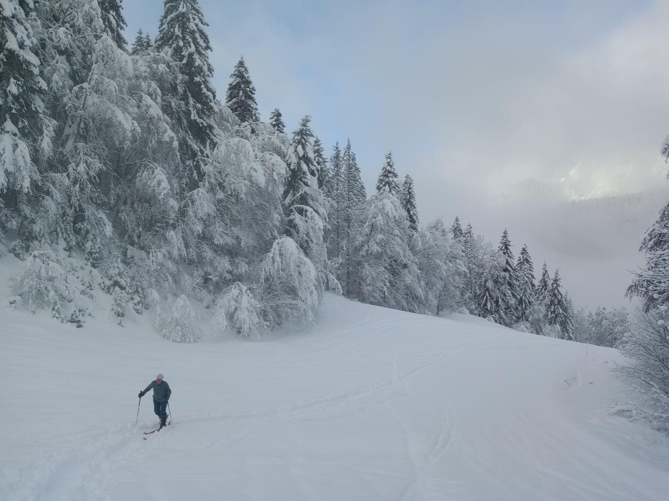 Poudreuse de rêve en Chartreuse !