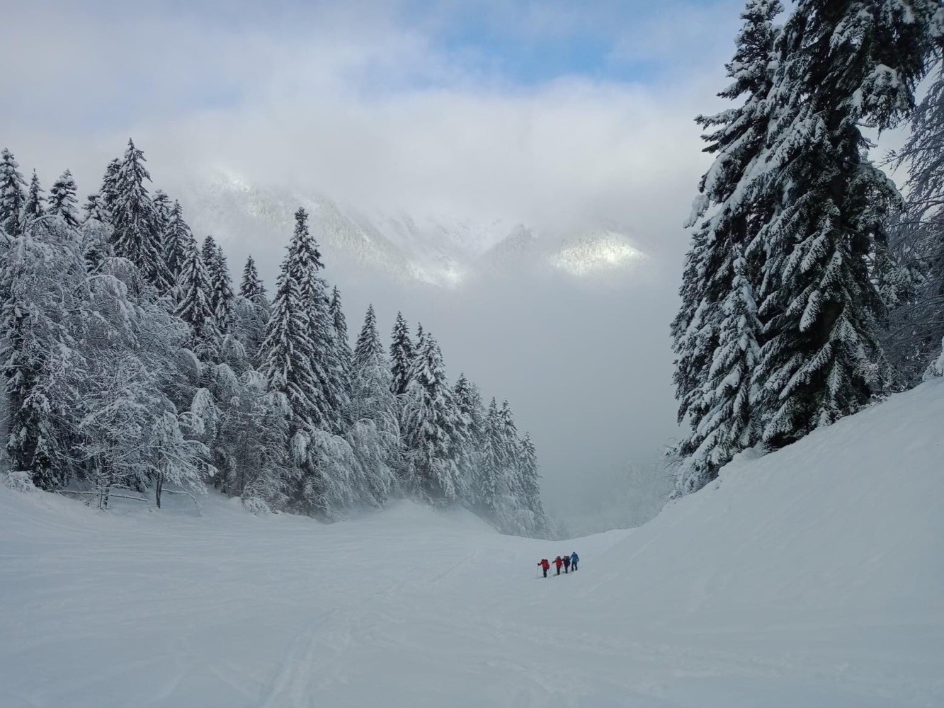 Poudreuse de rêve en Chartreuse !