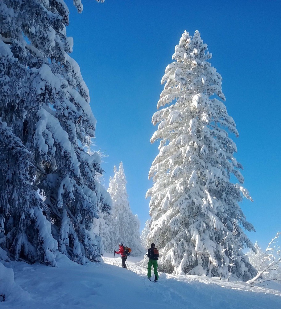 Poudreuse de rêve en Chartreuse !