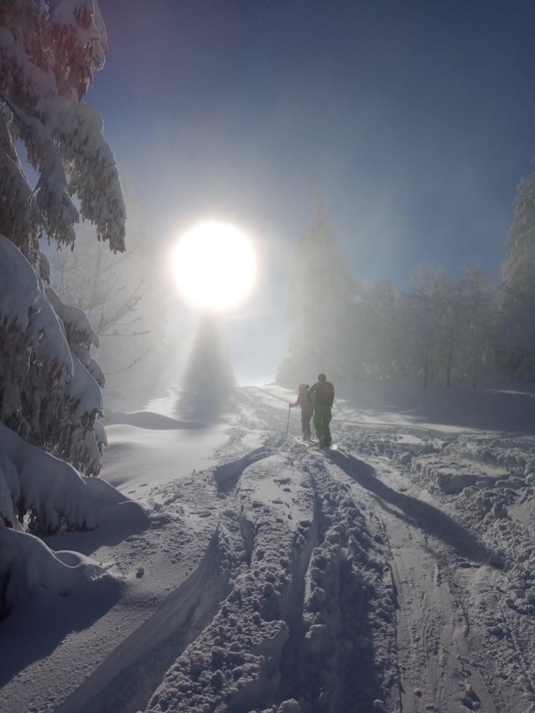 Poudreuse de rêve en Chartreuse !