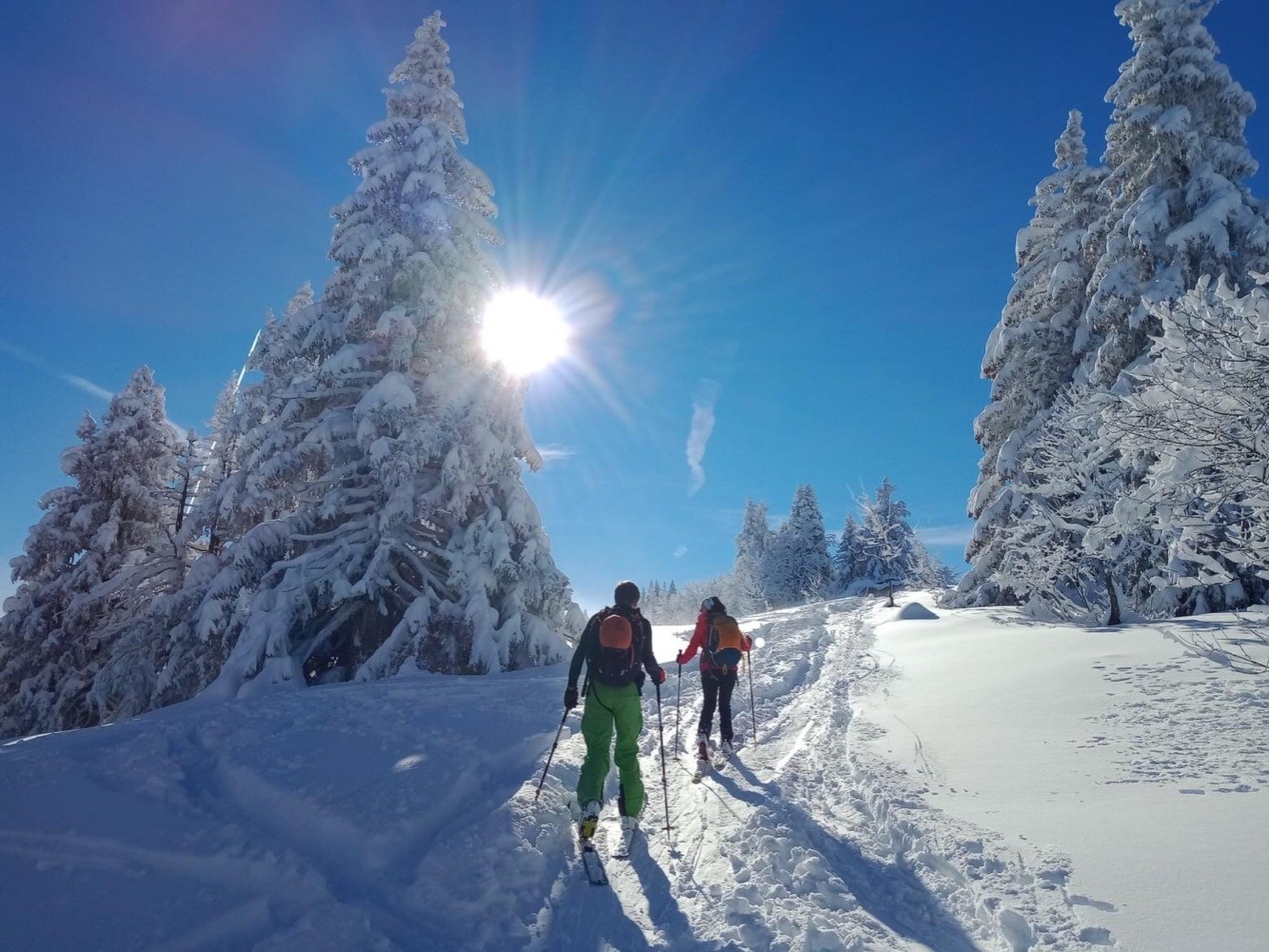 Poudreuse de rêve en Chartreuse !