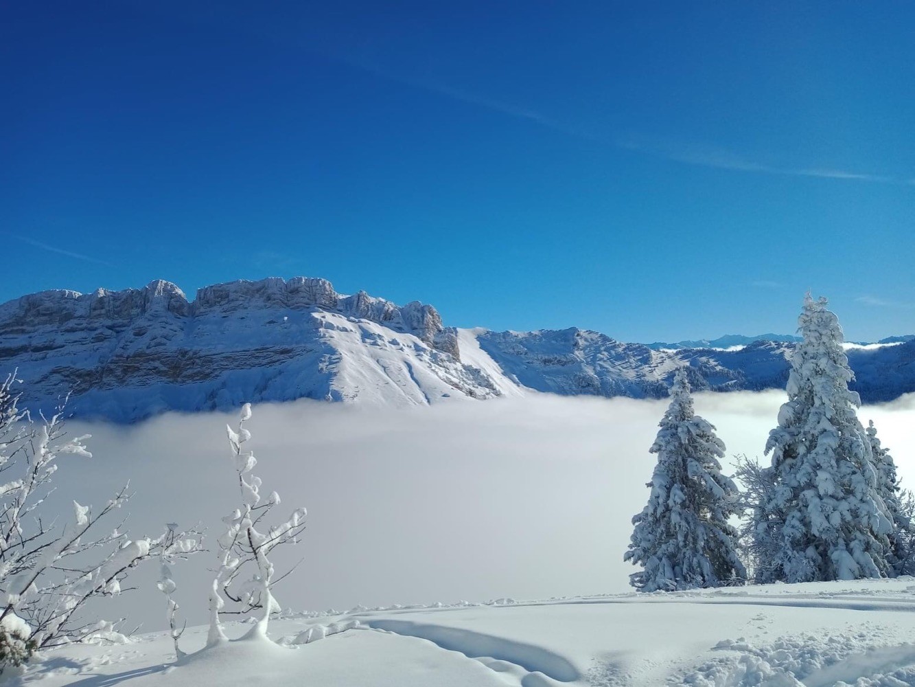 Poudreuse de rêve en Chartreuse !