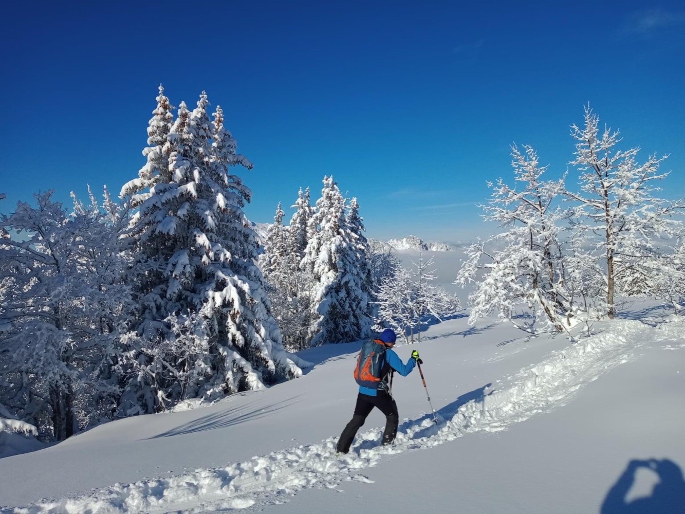 Poudreuse de rêve en Chartreuse !