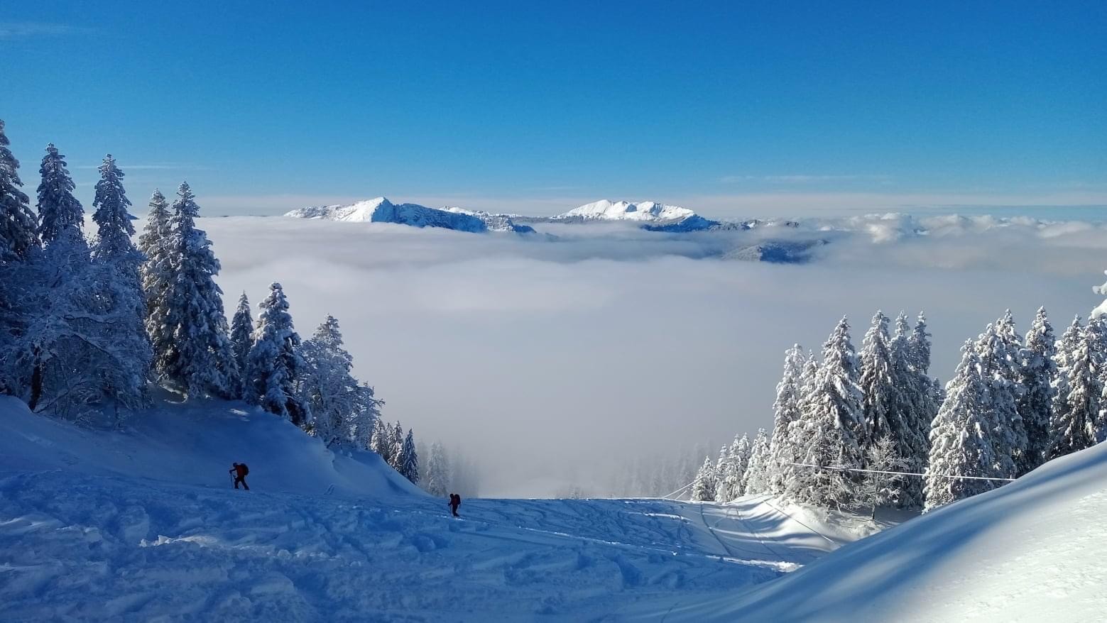 Poudreuse de rêve en Chartreuse !
