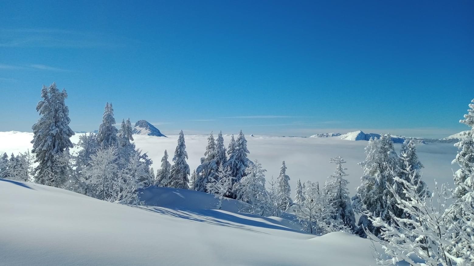 Poudreuse de rêve en Chartreuse !