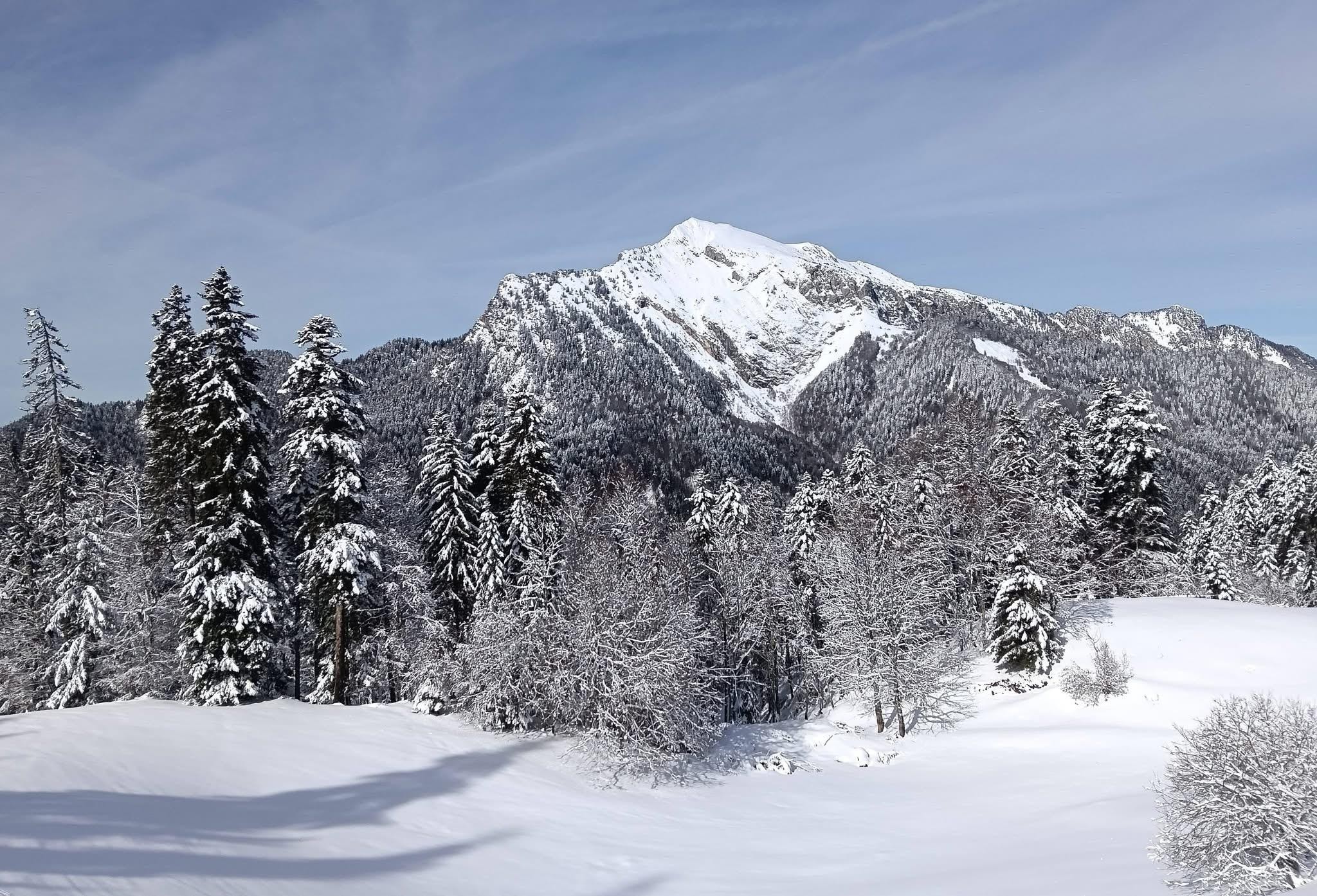 Poudreuse de rêve