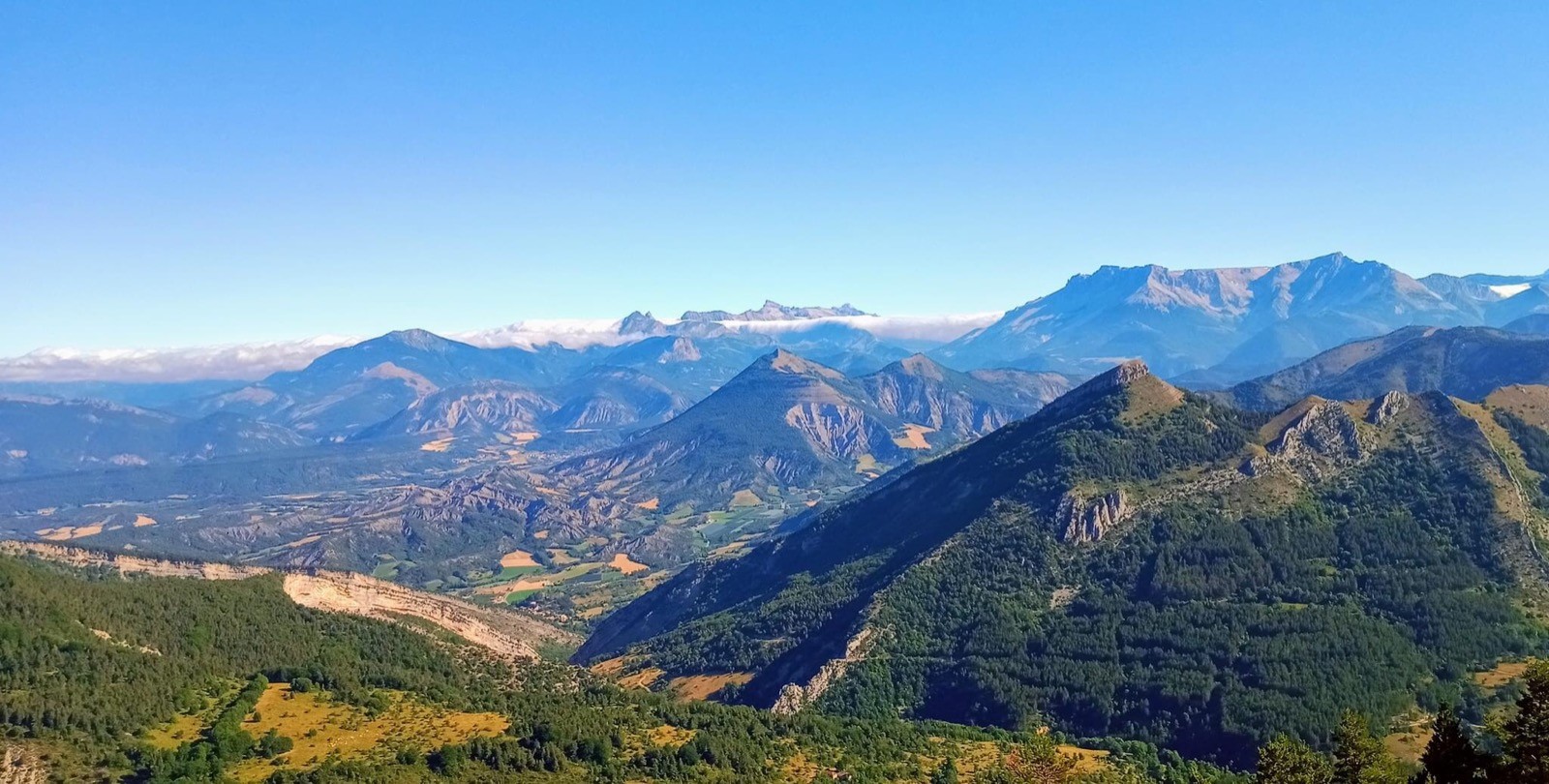 Poursuivis par le front d'advection !
