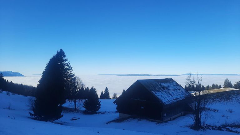 Ski de rando et de piste aux Brasses