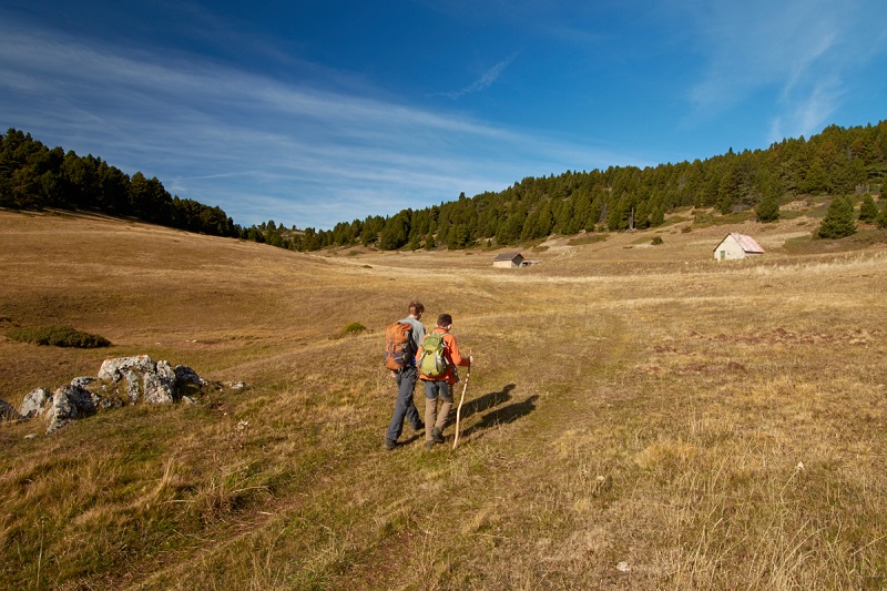 prairie de Tussac