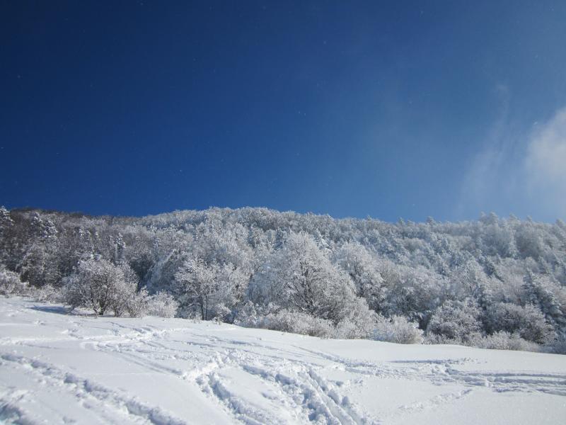 prairie de l'Echaillon