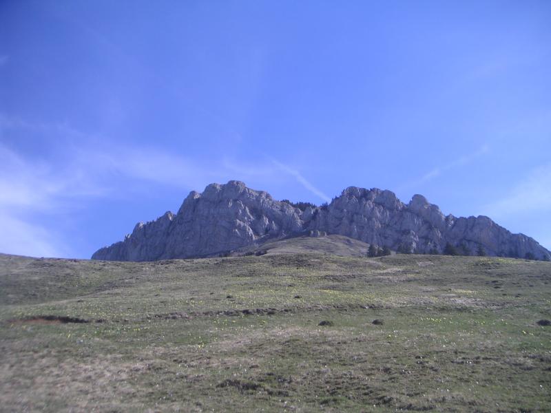 prairie fleurie