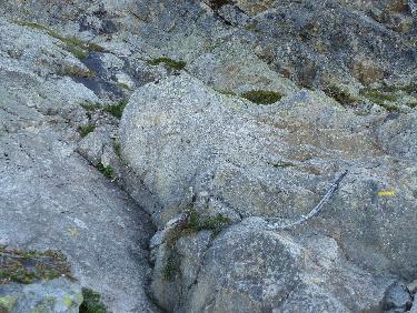 Premier passage cablÃ©