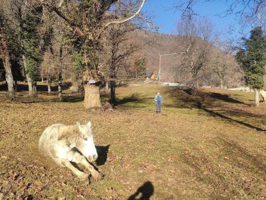 Premier vol de l&apos;hiver