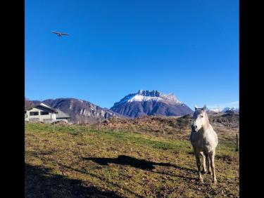Premier vol de l&apos;hiver