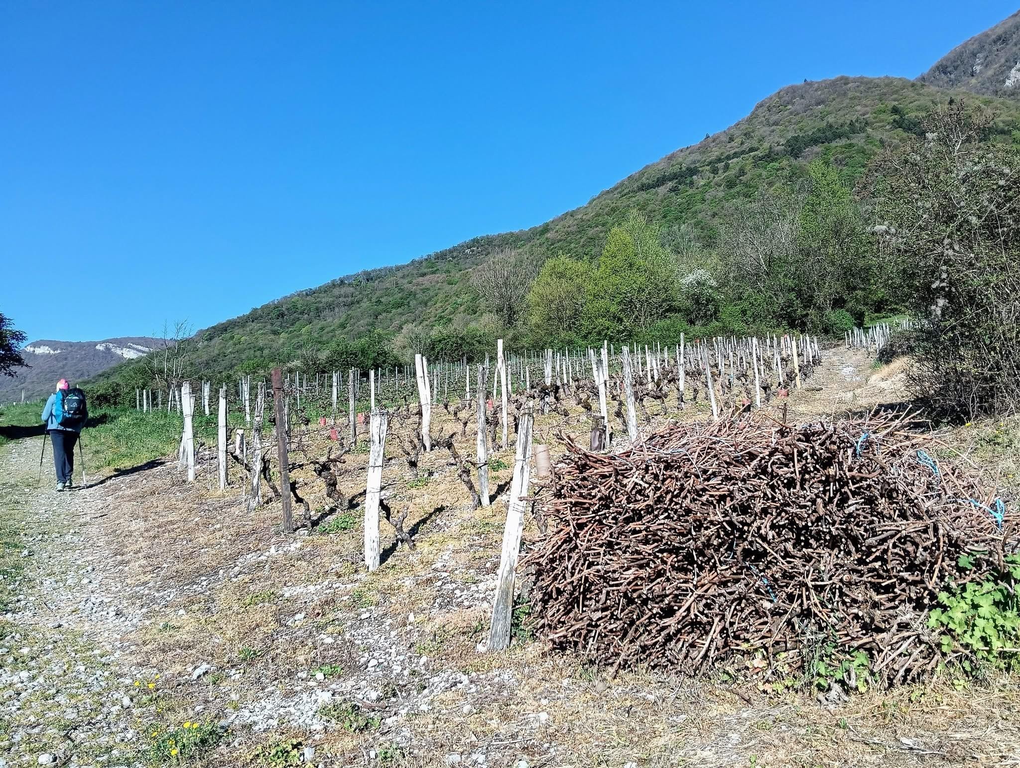 Première baignade de la saison 