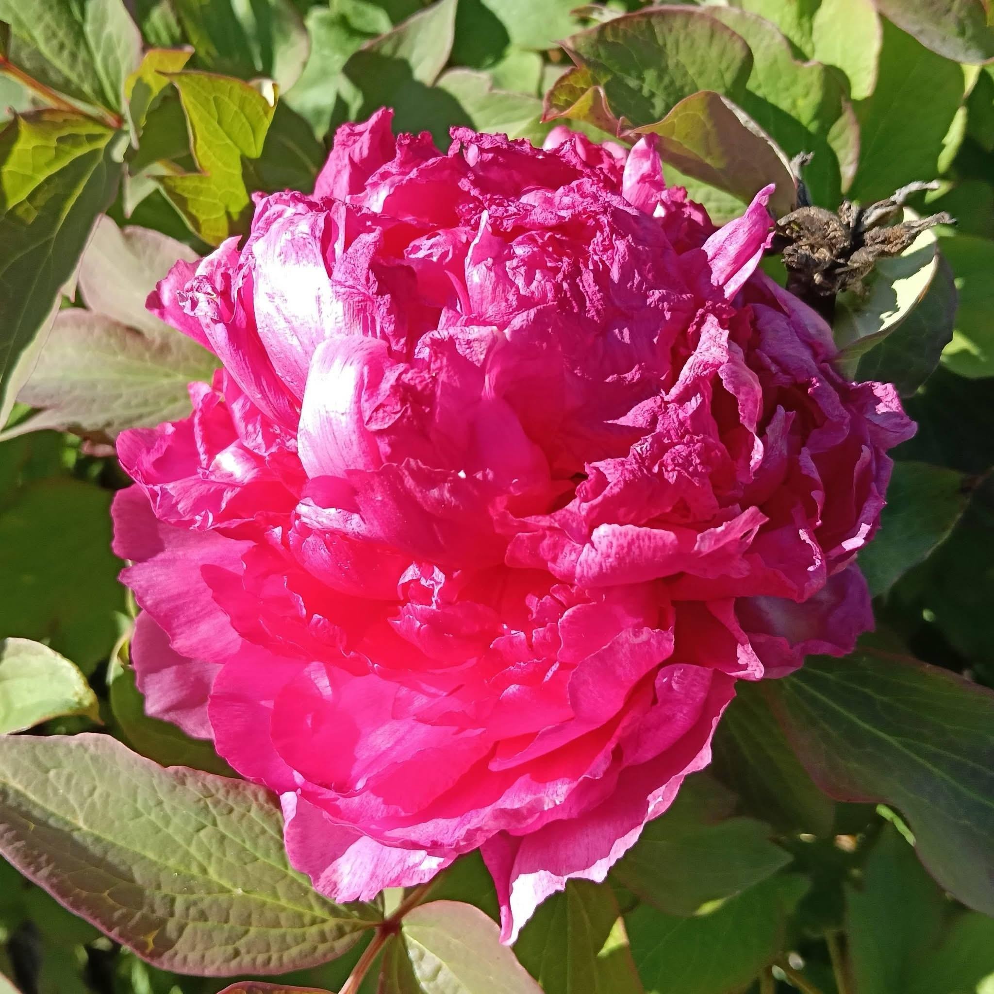 Première baignade de la saison 