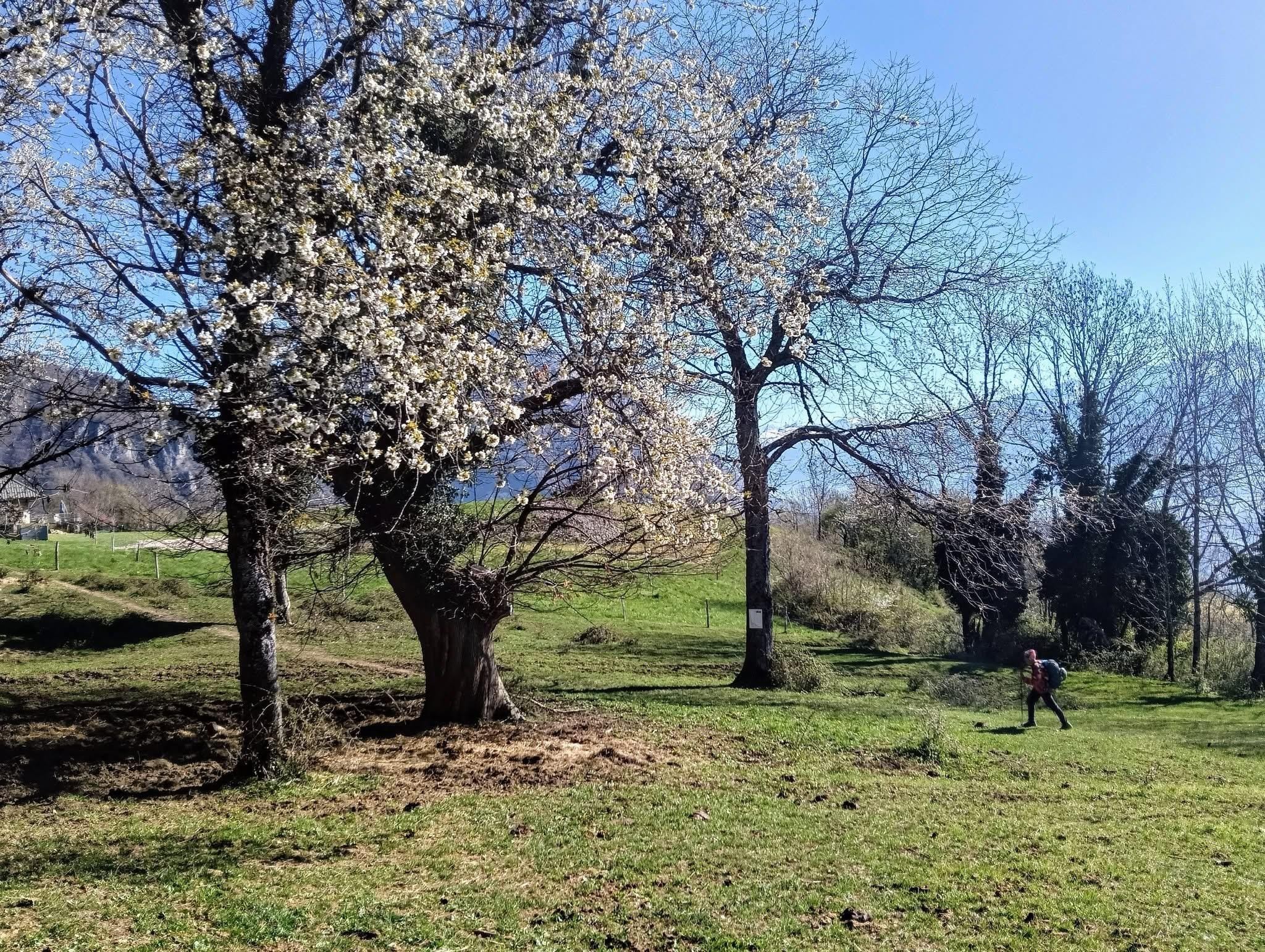 Première baignade de la saison 