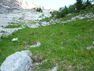 PremiÃ¨re pente d&apos;herbes