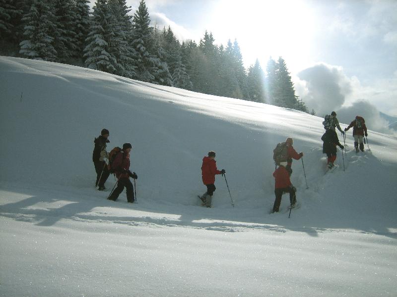 premières traces en raquettes dans la poudreuses