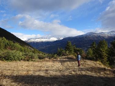 PrÃ¨s du dÃ©part du sentier situÃ© sous le point 1659