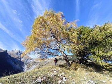 Près du sommet 