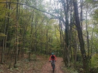 Presque entre les averses