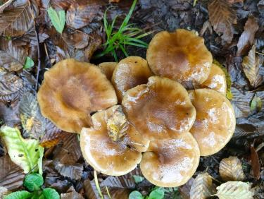 Presque entre les averses