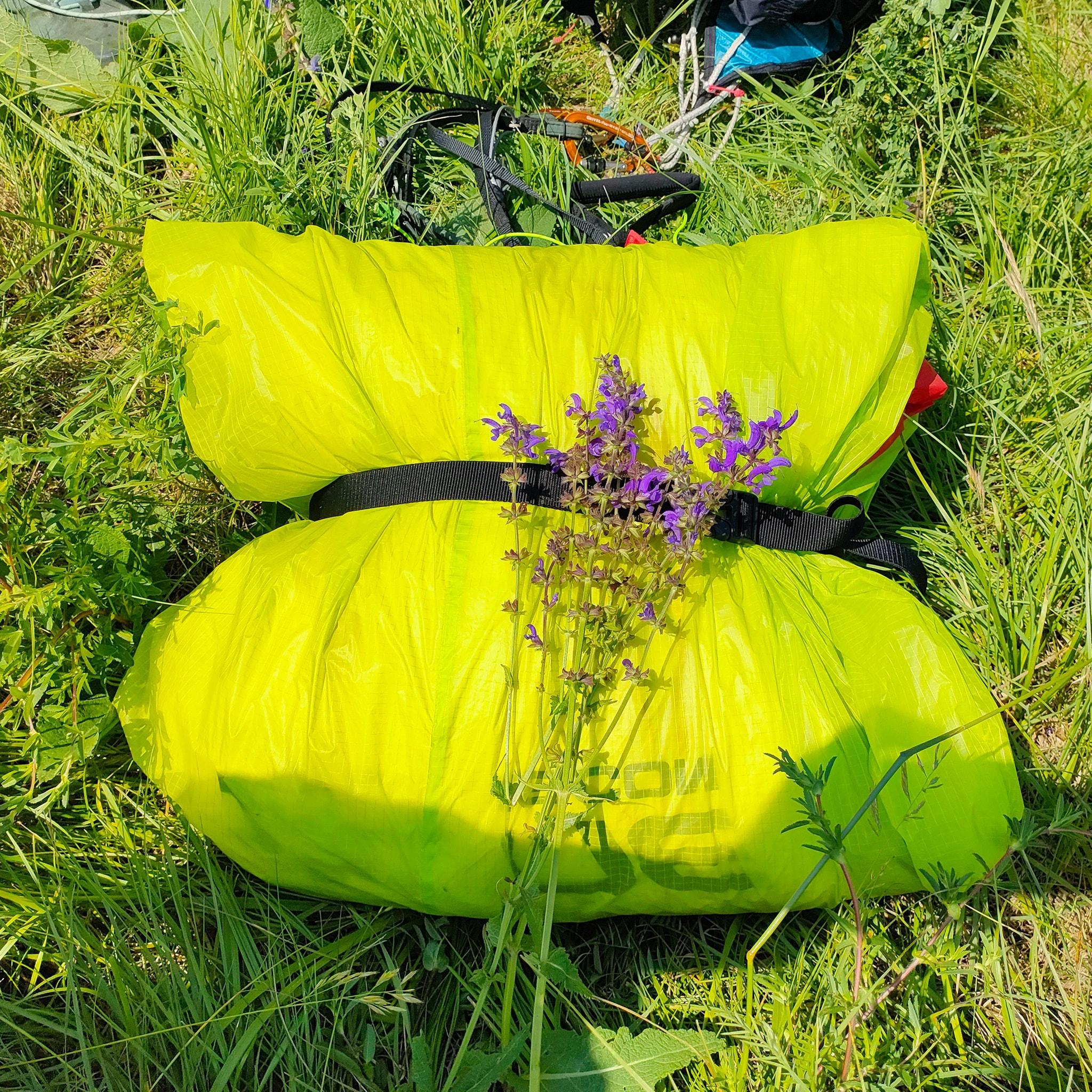 Pris la main dans le sac.