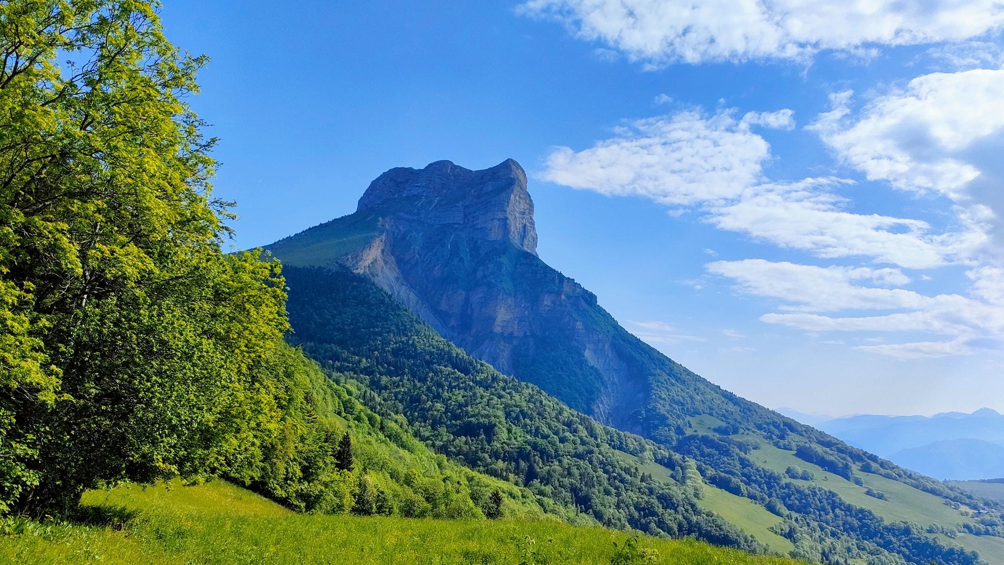 Pris la main dans le sac.