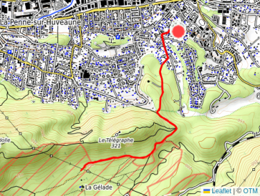 Promenade du soir pour les 2 grands fauves