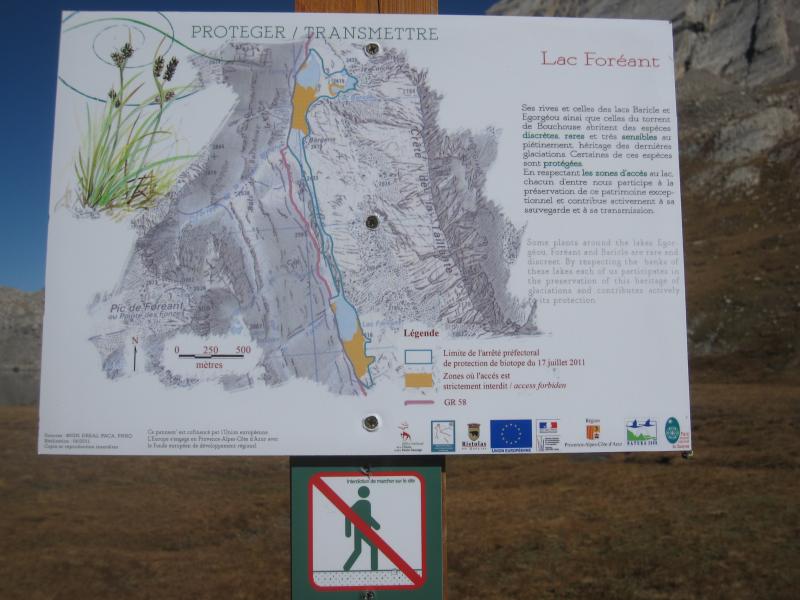 protection des plantes