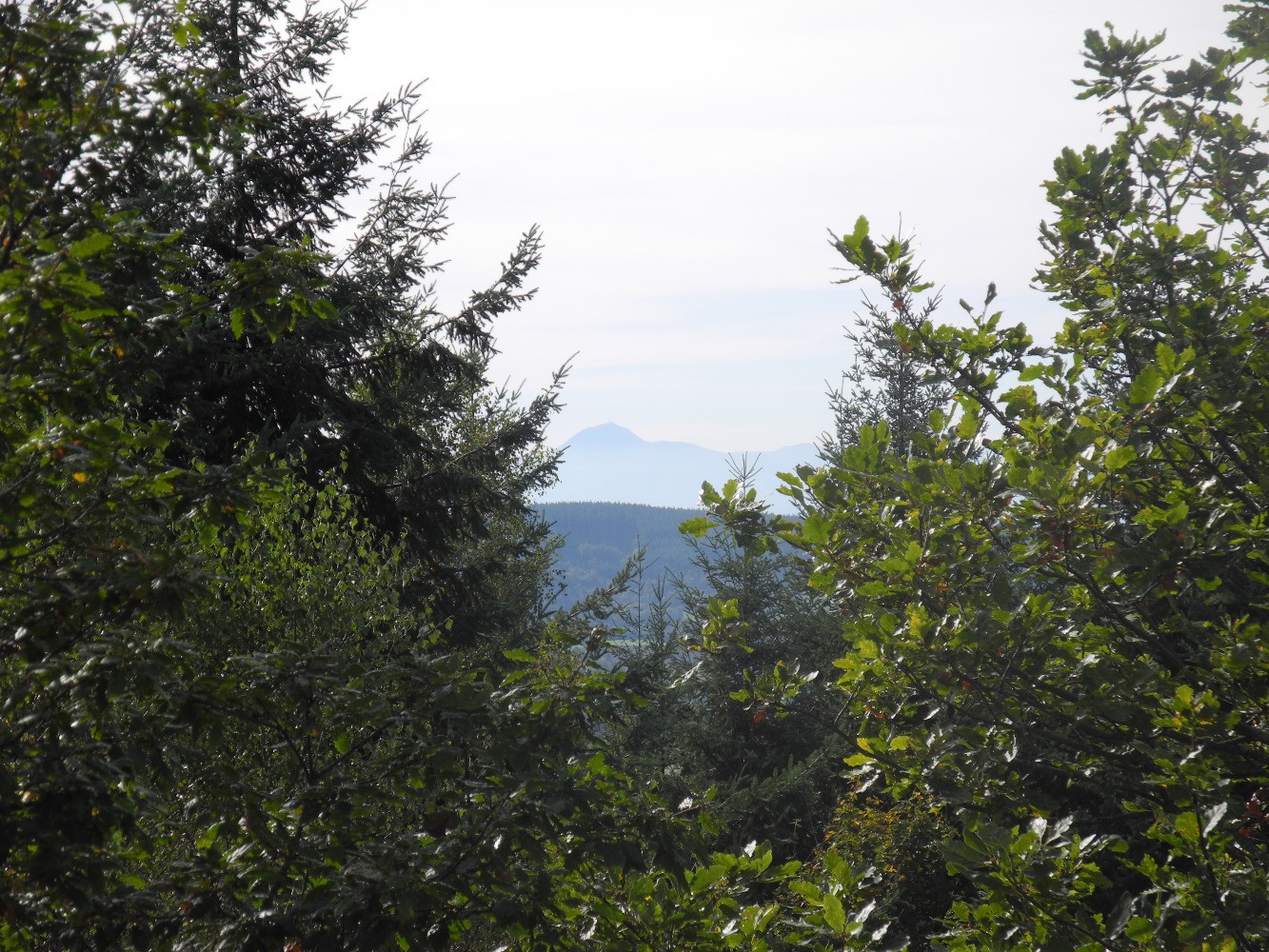 Puy-de-DÃ´me (?)