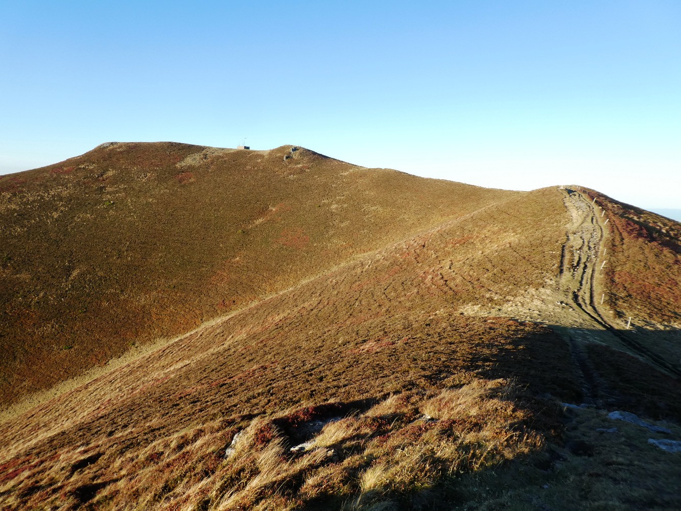 Vers le Puy de la Tache (au fond) 