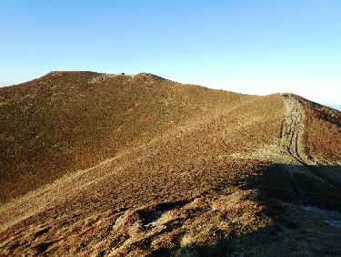 Vers le Puy de la Tache (au fond) 